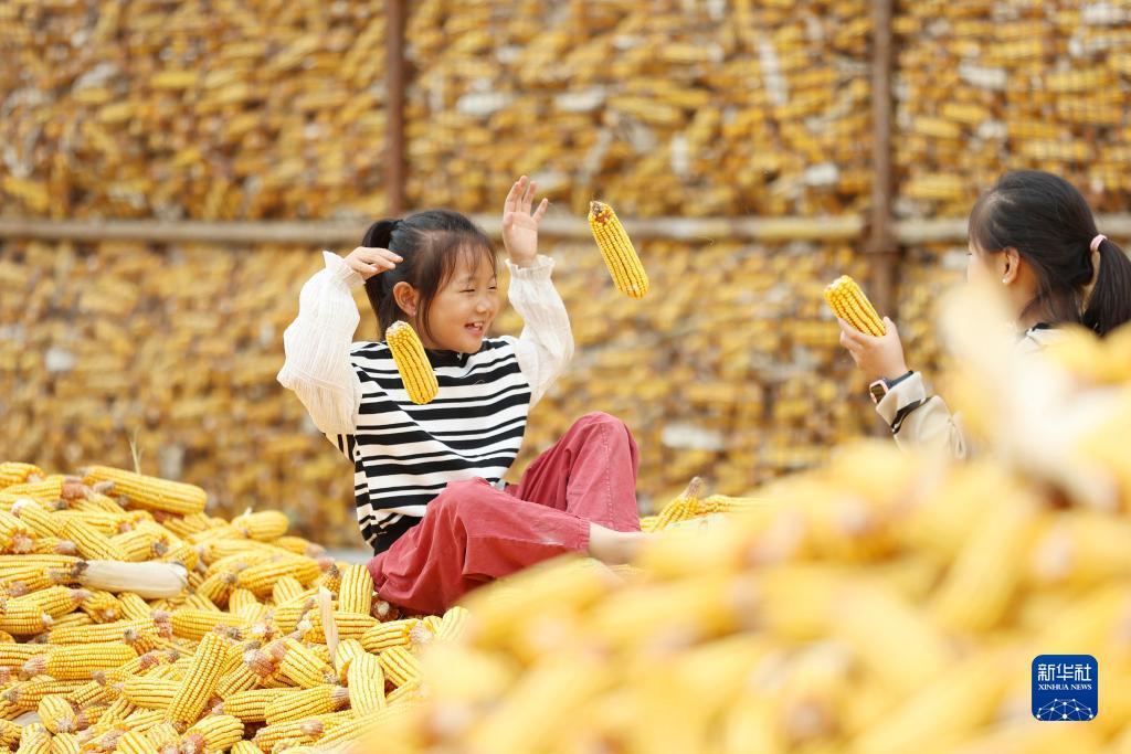 九州天下现金首页